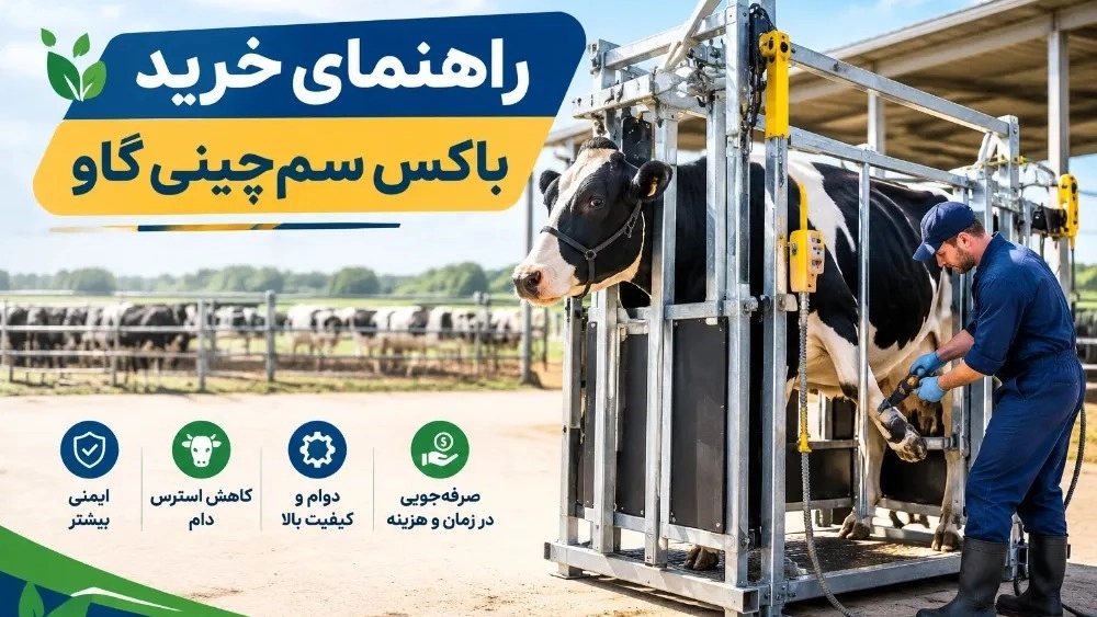 راهنمای خرید باکس سم‌چینی گاو