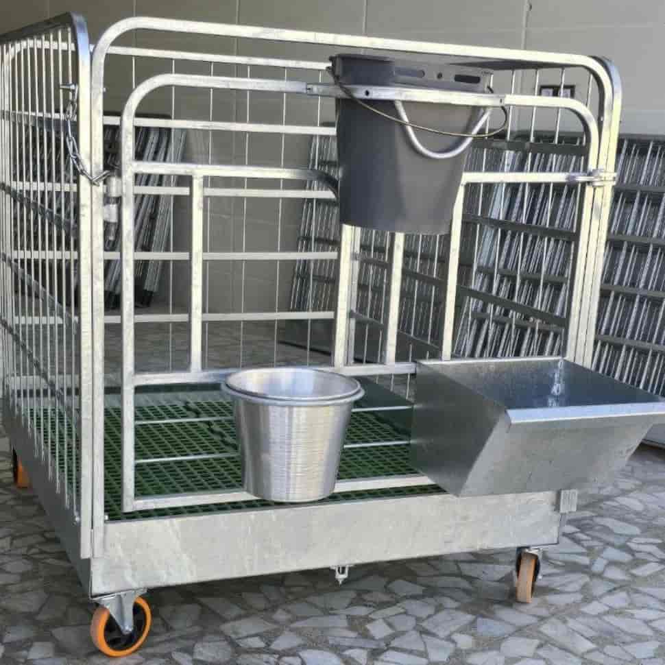 Calf Box