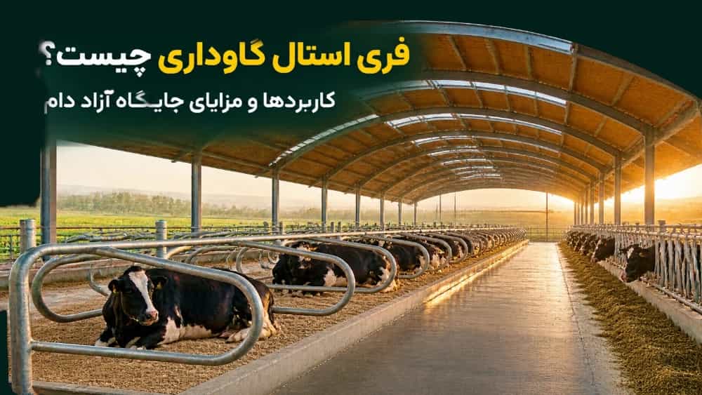 فری استال گاوداری چیست و چه کاربردی در دامداری دارد؟