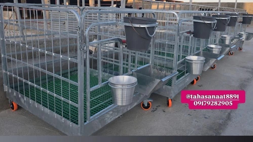 Buy Milky Calf Box with pacifier buckets for livestock Buy Milky Calf Box with pacifier buckets for livestock